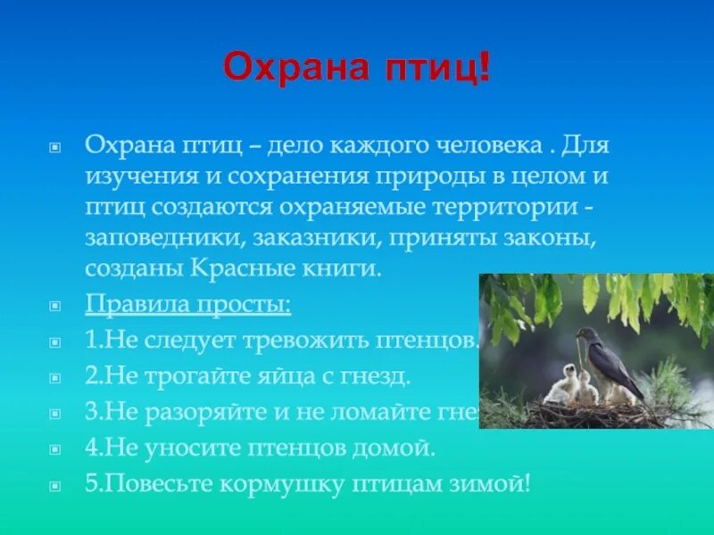 Значение птиц в природе конспект. Охрана птиц. Охрана птиц презентация. Охрана птиц в природе. Презентация на тему охрана птиц.