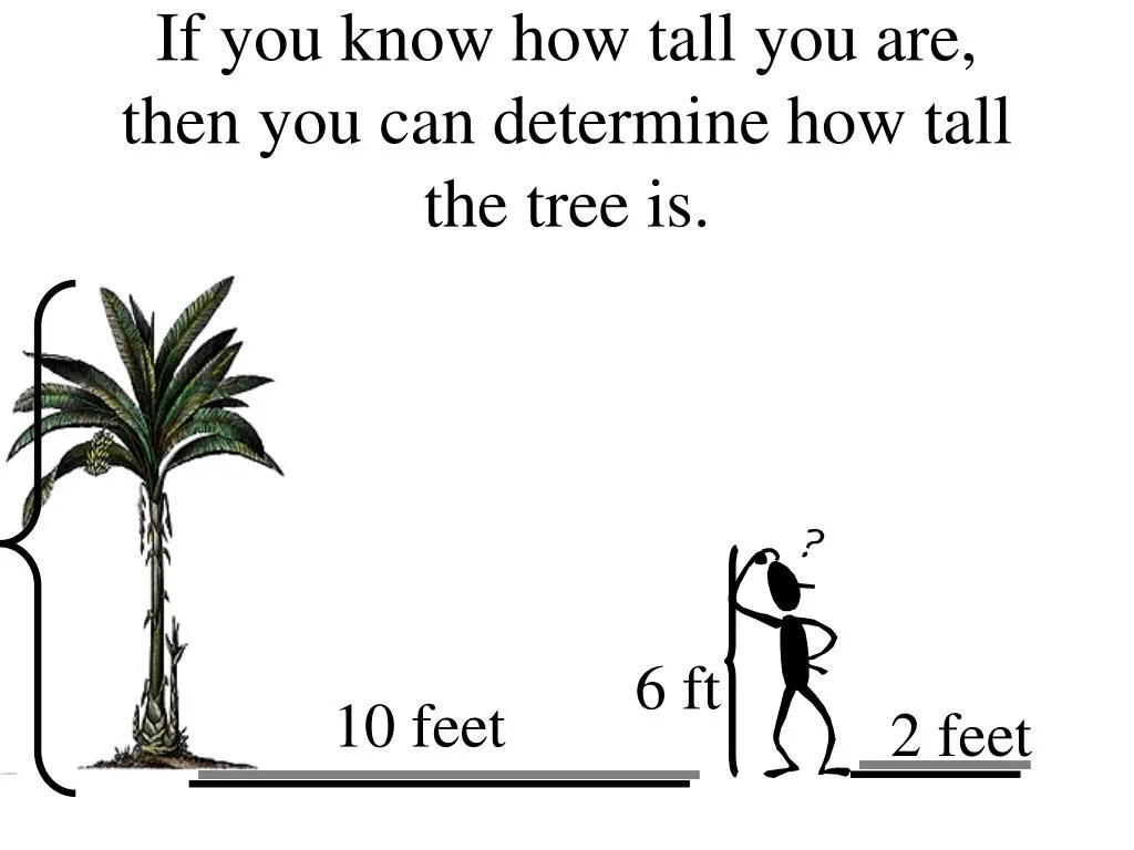 Вопросы с how Tall. How Tall are you. How Tall are you Заголовок. How Tall are you Заголовок PNG.