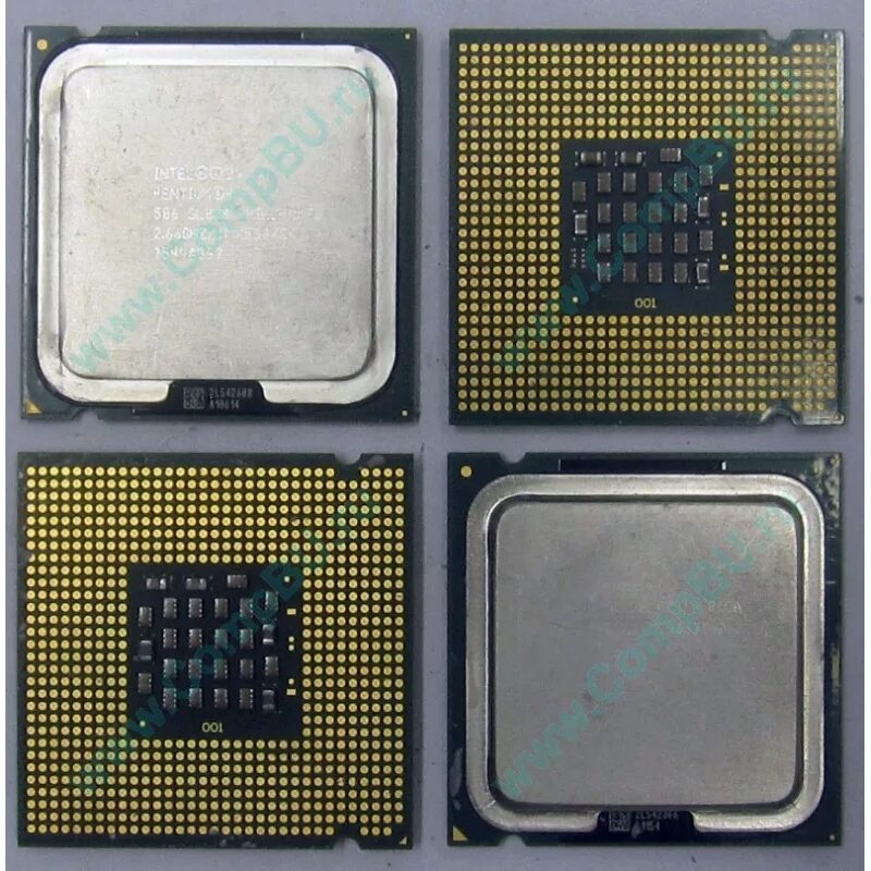 Сокет lga775 процессоры. Процессор Intel Pentium 4 506 Prescott. Процессор soete775 Intel Pentium e2160. Пентиум 4 сокет 775. Процессоры сокета intel 775