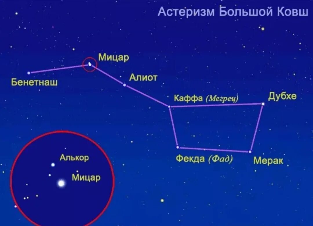 Большая медведица звезда мицару. Большая Медведица Созвездие название звезд. Звезды в созвездии большой медведицы. Большая Медведица название звезд на схеме. Звезда мерак в созвездии большой медведицы.