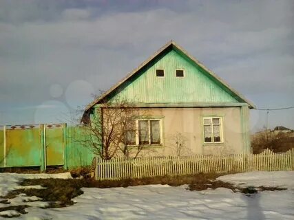 Грачи тюмени