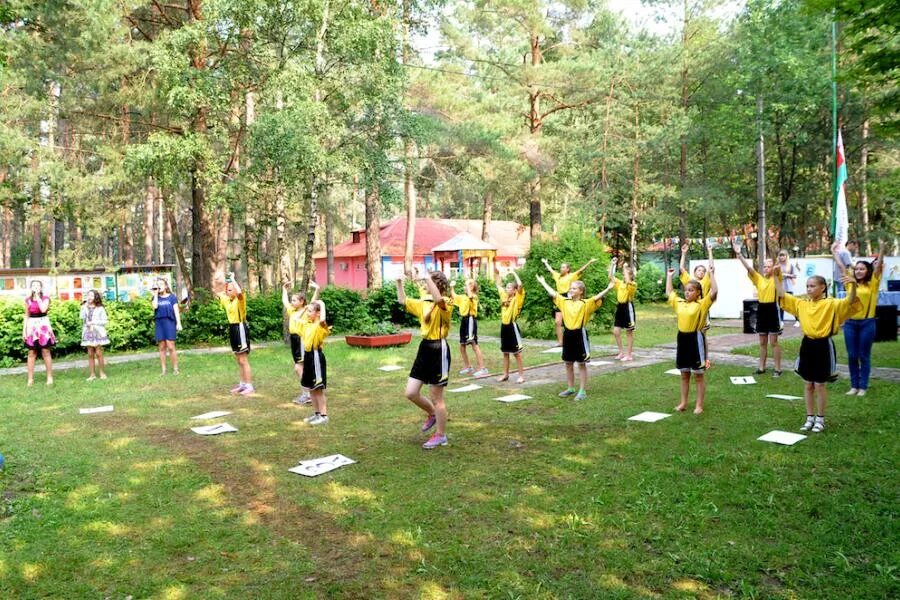 Лагерь лесной купить путевку. Лесной огонек лагерь стайки. Лагерь дол Лесной. Детский лагерь огонек Лесное. Лагерь Лесной Минск.