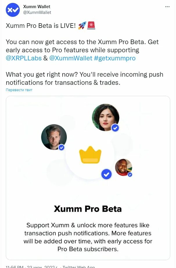 Про бета версию. XUMM Pro Beta. Пользователи Твиттер. XUMM.