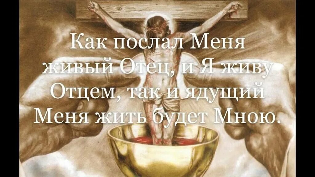 Плоть христа. Тело и кровь христовы. плоть и кровь иисуса христа. тело христово и кровь христова.
