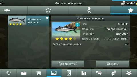 My fishing world где ловить