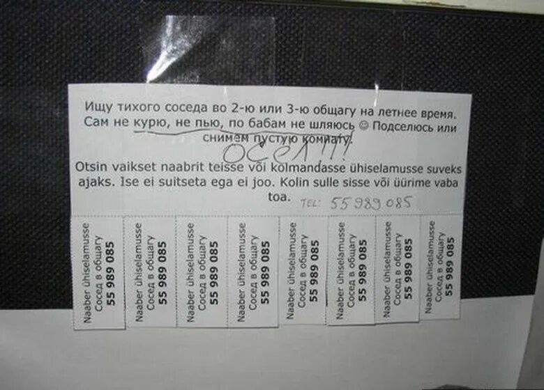 Живем как соседи что делать. Пакости соседям. Отомстить шумным соседям сверху. Месть соседям сверху. Соседи пакостят.