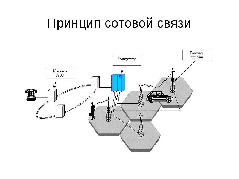 Биолог турочи. Сотовая связь физика 9 класс. Сотовая связь физика 9 класс. Принцип мобильной связи физика. Сколько можно разговаривать по мобильному телефону.