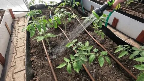 Аккумуляторный полив из бочки