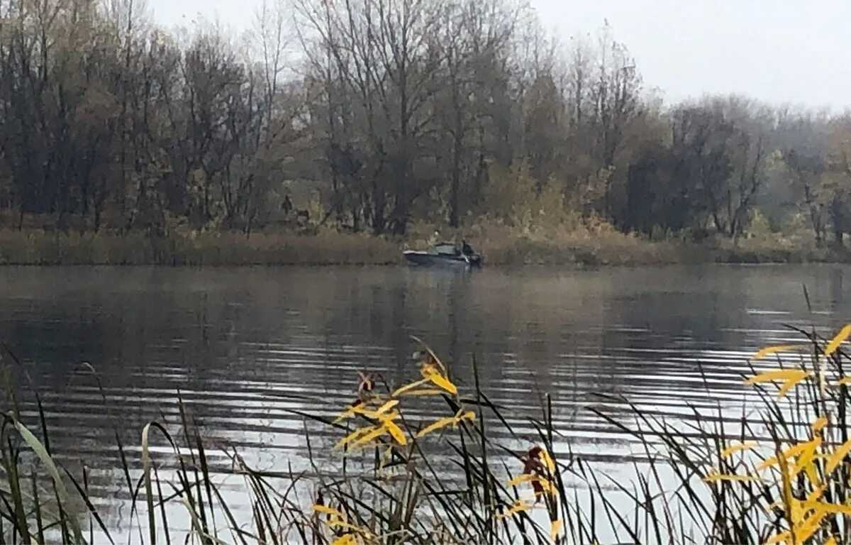 Трупы утопленников в Волге. Василийскии острова в безенчуеском районе. Безенчукская река. Река Сургут Самарская область. Самара утонула