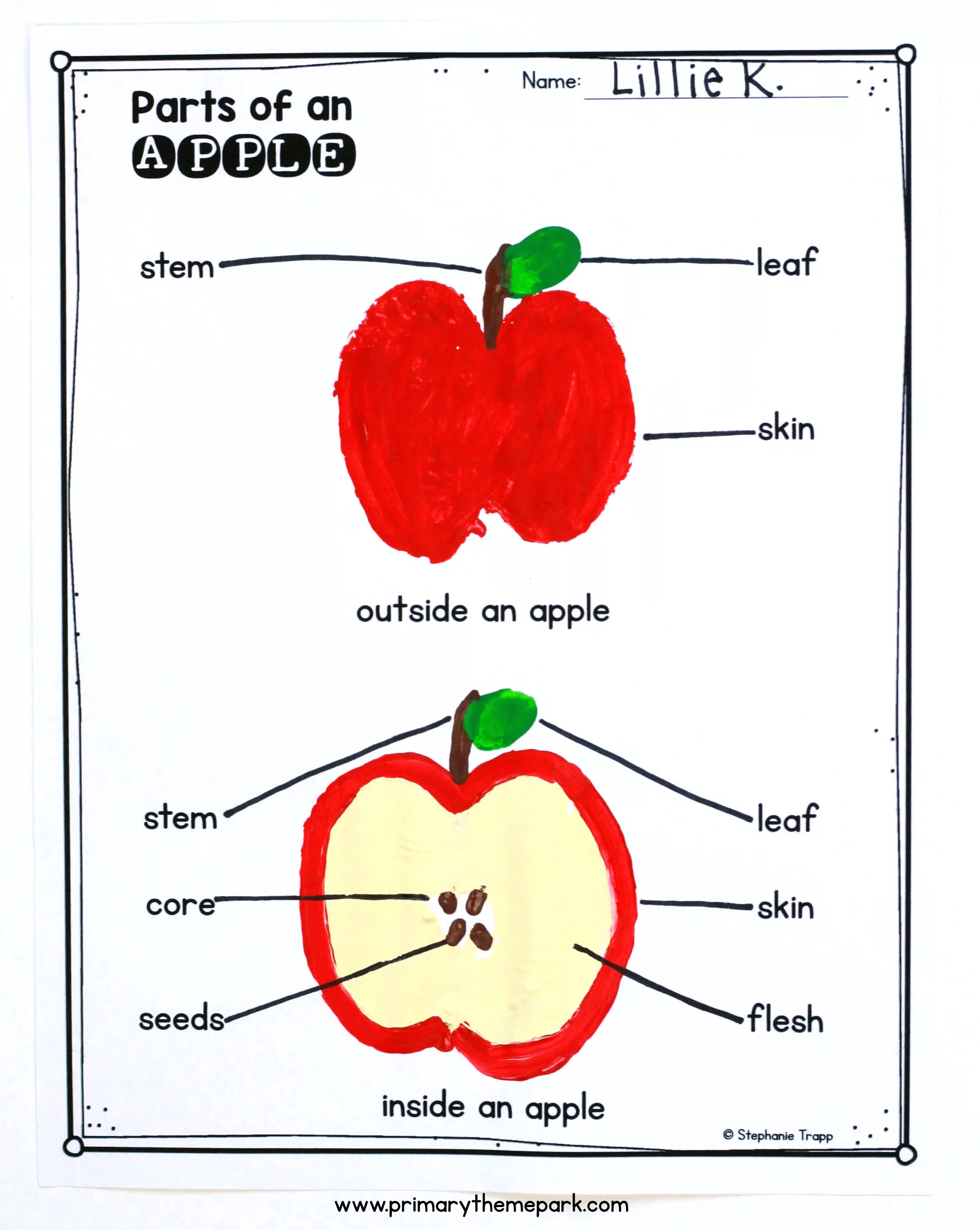 Apple Parts. An Apple и Apple разница. Apple Parts Fruit. Part name. The apple am little