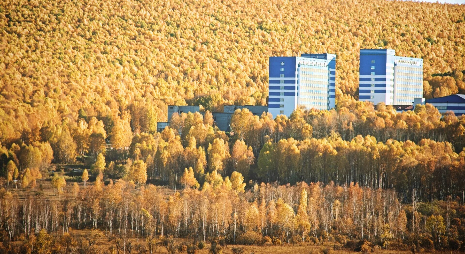 Красноярск крае санаторий. Загорье санаторий Красноярск. Красноярское Загорье кожаны. Санаторий Красноярское Загорье Красноярский край. Санаторий Красноярское Загорье село кожаны.