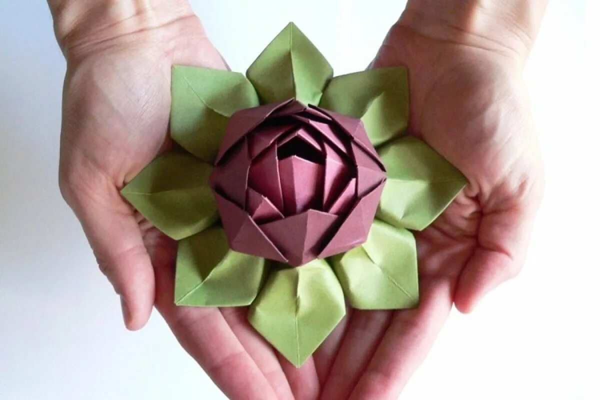 Цветы оригами Лотус. Оригами кувшинка (Лотос). Цветок лотоса из бумаги. Оригами цветок кувшинка. Оригами красивый цветок