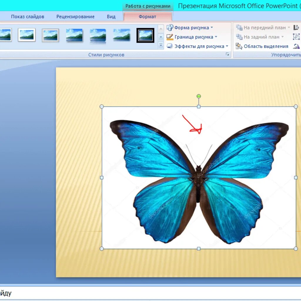 Как сделать в поинте прозрачную картинку. Презентация в POWERPOINT. Рисунок для слайда. Изображения для презентации. Слайды для презентации.