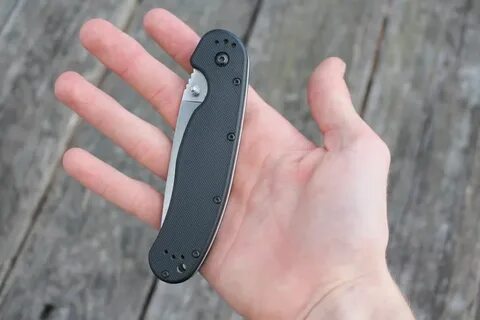 Ontario rat 1