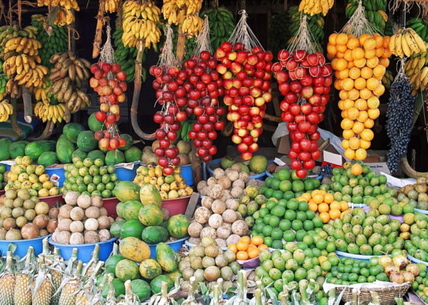 Фрукты шри ланки. Шри Ланка Коломбо рынок. Шри-Ланка фрукты. Фрукты из Шри Ланки. Экзотические фрукты Шри Ланки.