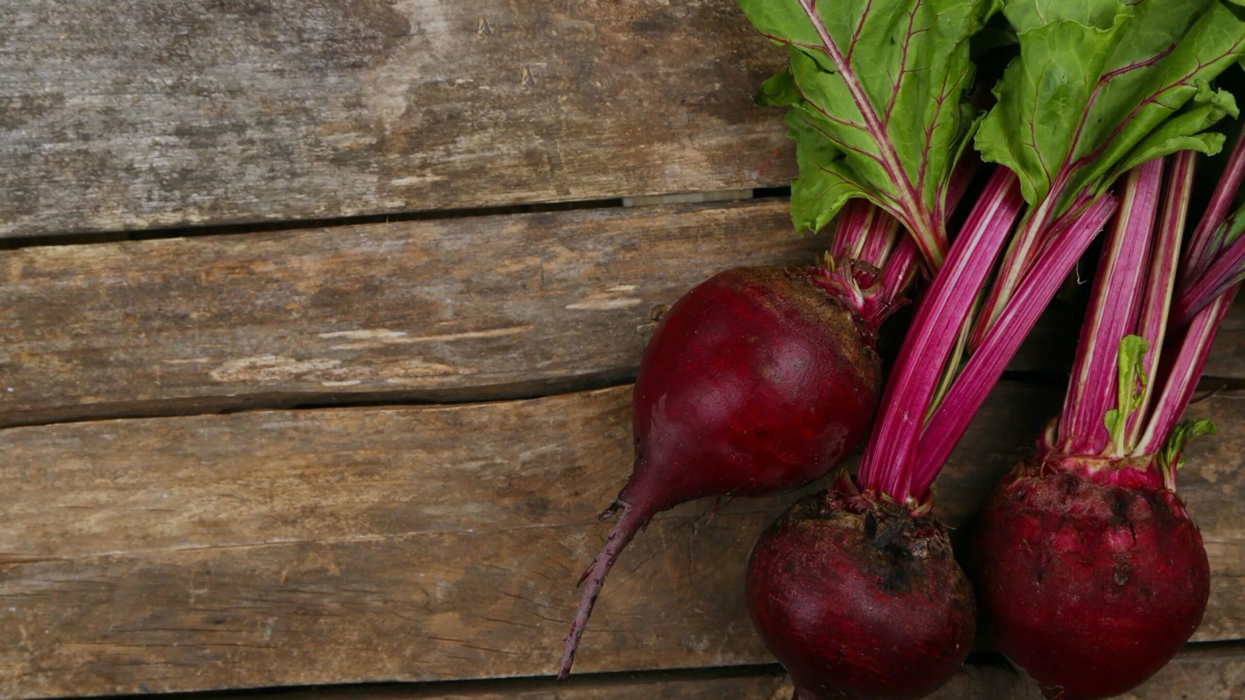 Можно вареную свеклу при сахарном диабете. Свекла beetroot. Свекла Болтарди. Cdtrrkf. Урожай свеклы.