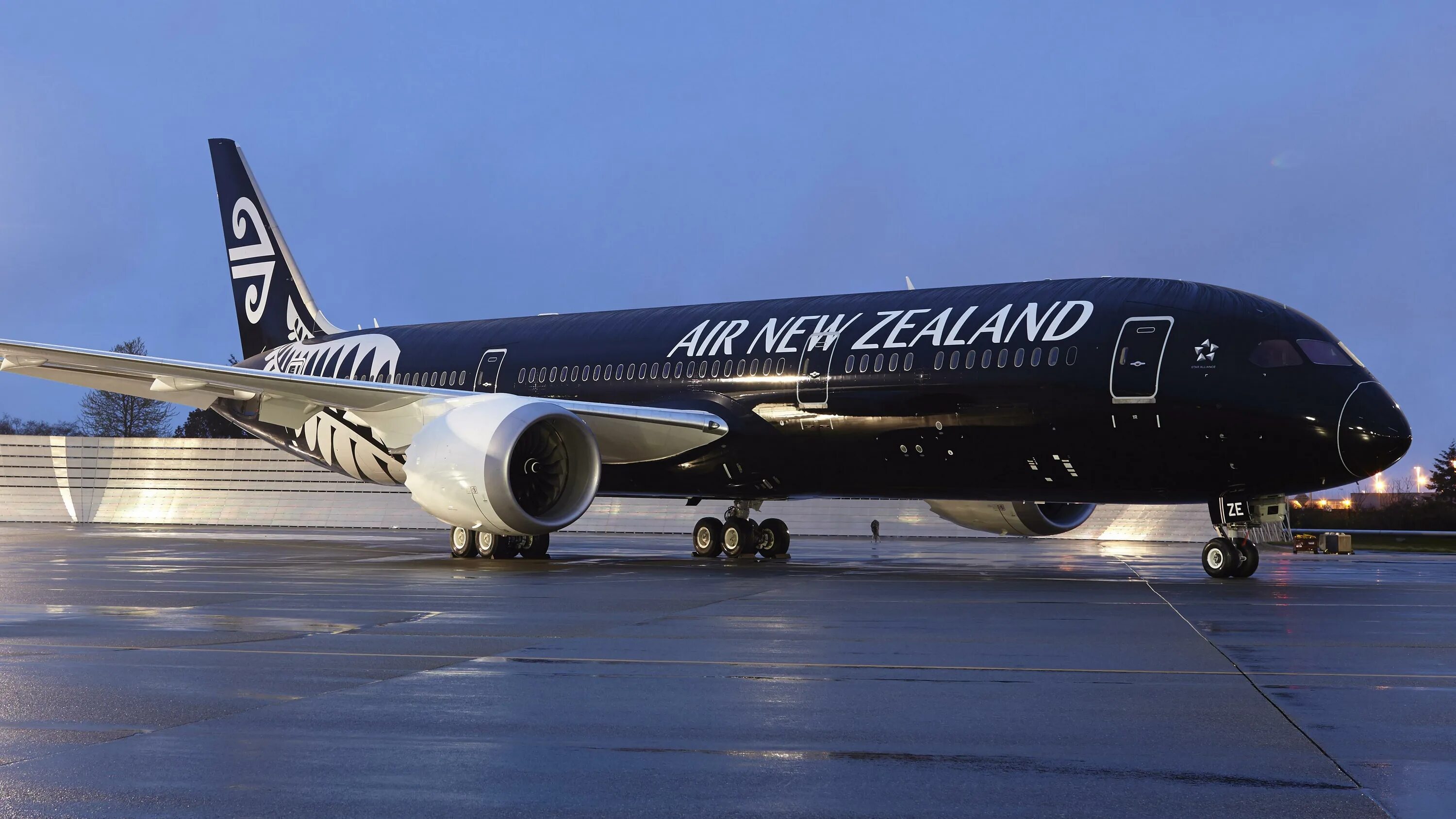 Air new zealand. Boeing 787 Air New Zealand. Boeing 787-9 Air New Zealand. Air New Zealand авиакомпания. Air New Zealand plane Types.