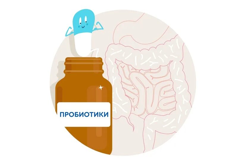 Бактерии в пищевой промышленности. Жидкий концентрат бифидобактерий. Бифидобактерии для кишечника. Живые бактерии в продуктах. Микроорганизмы кишечника.