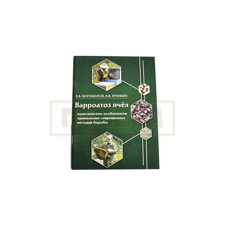 Коллапс пчелиных. Коллапс пчелиных