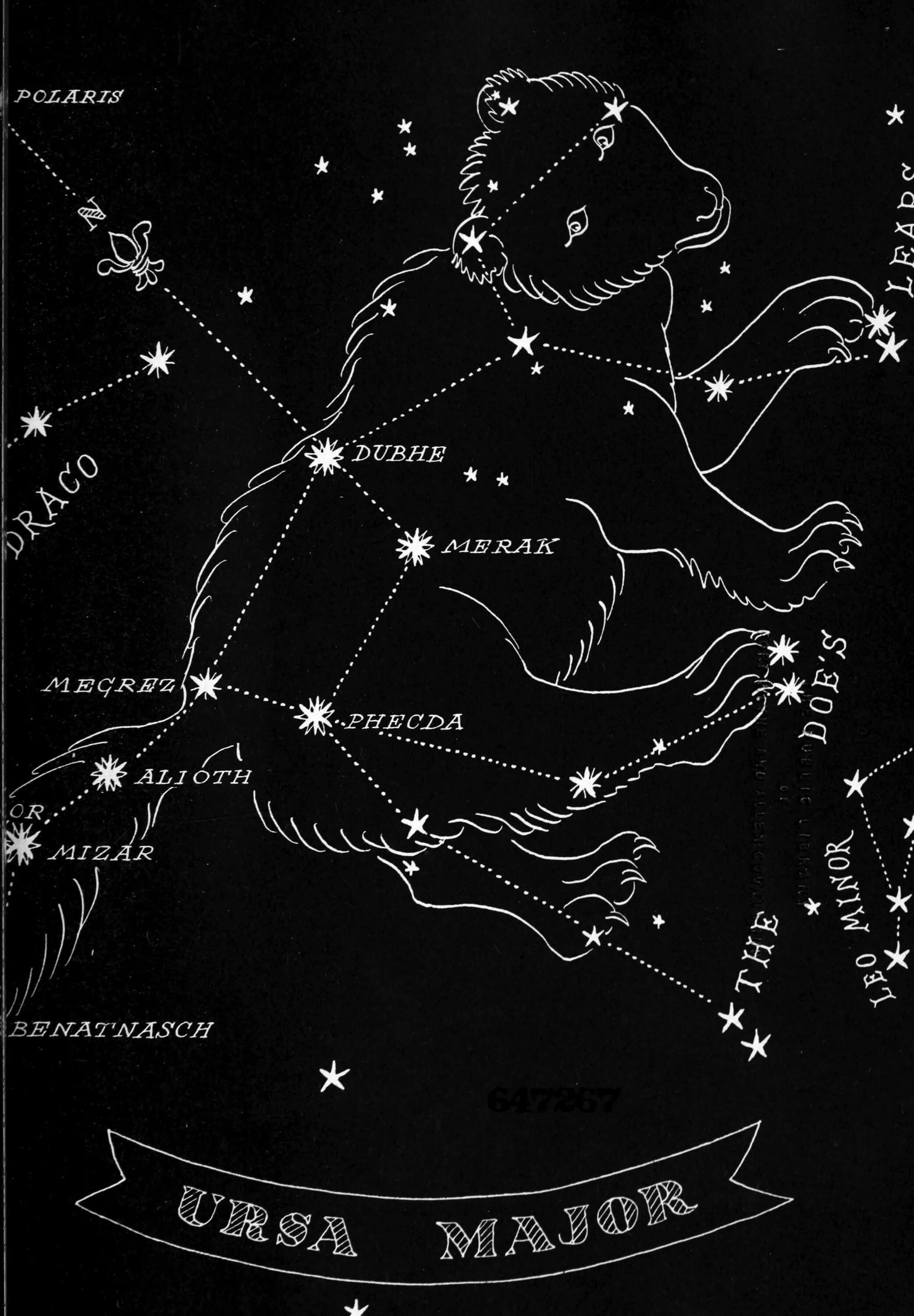 Большая медведица карты. Карта звездного неба большая Медведица и малая Медведица. Малая Медведица на карте звездного неба. Созвездие малая Медведица на карте звездного неба. Созвездие большой медведицы на карте звездного неба.