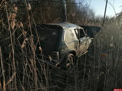 Погода в новосокольники псковской