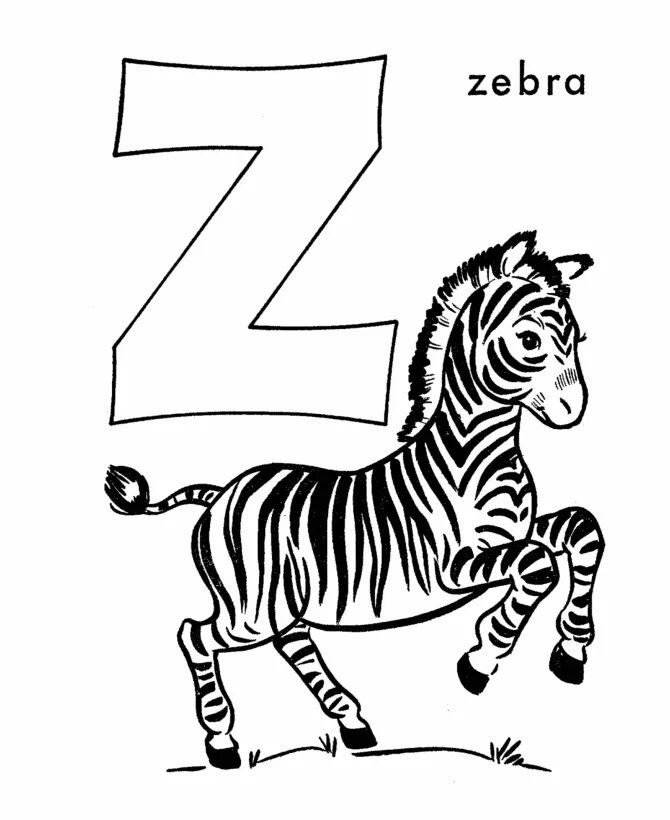 Откуда буква z. Английская буква z. буква z раскраска. рисунок на букву z английский. английская буква z раскраска.