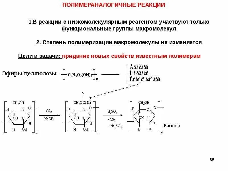 Реакция функционального ответа. Функциональные группы целлюлозы. Степень полимеризации крахмала и целлюлозы. Презентация химические реакции макромолекул. Реакции функциональных групп целлюлозы.