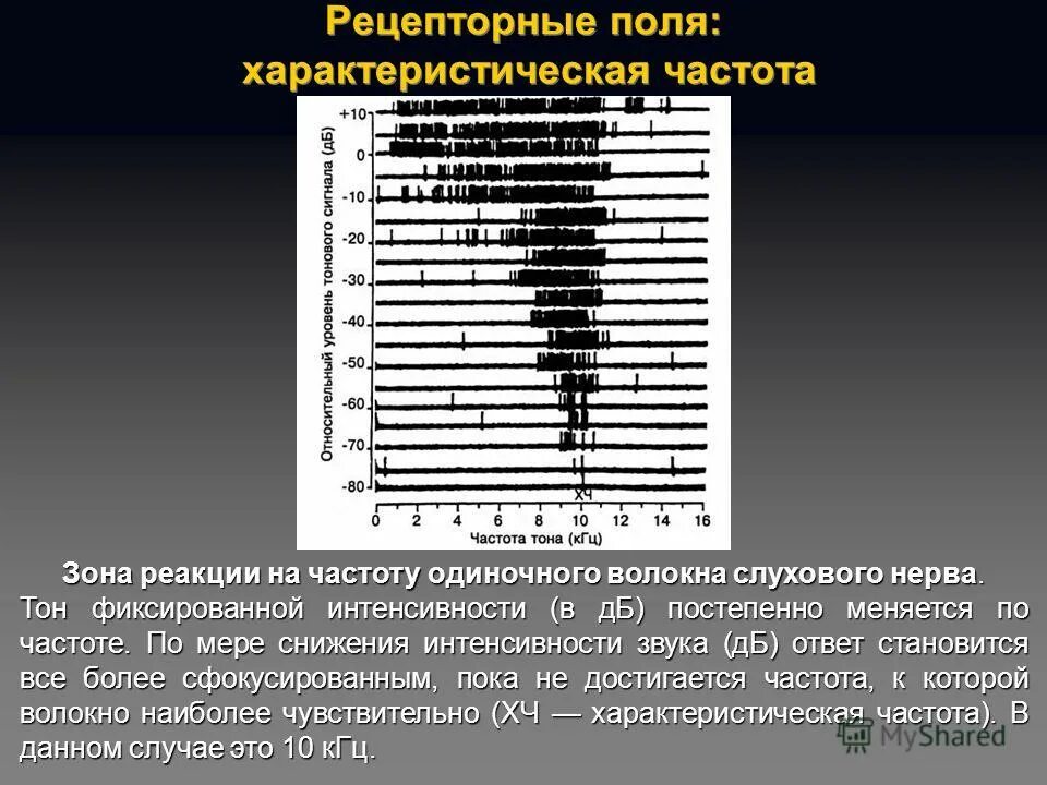 Снижение интенсивности сигнала. Снижение интенсивности сигнала. Снижение интенсивности сигнала. Мр-сигнал что это такое. Снижение интенсивности сигнала.