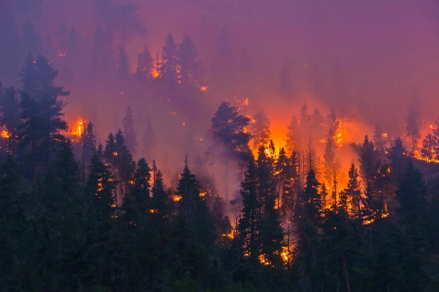 Дым от пожара. Огонь пейзаж. Дымка лесного пожара сине фиолетовая. Aesthetic Wildfire. Сквозь лес и дым геншин