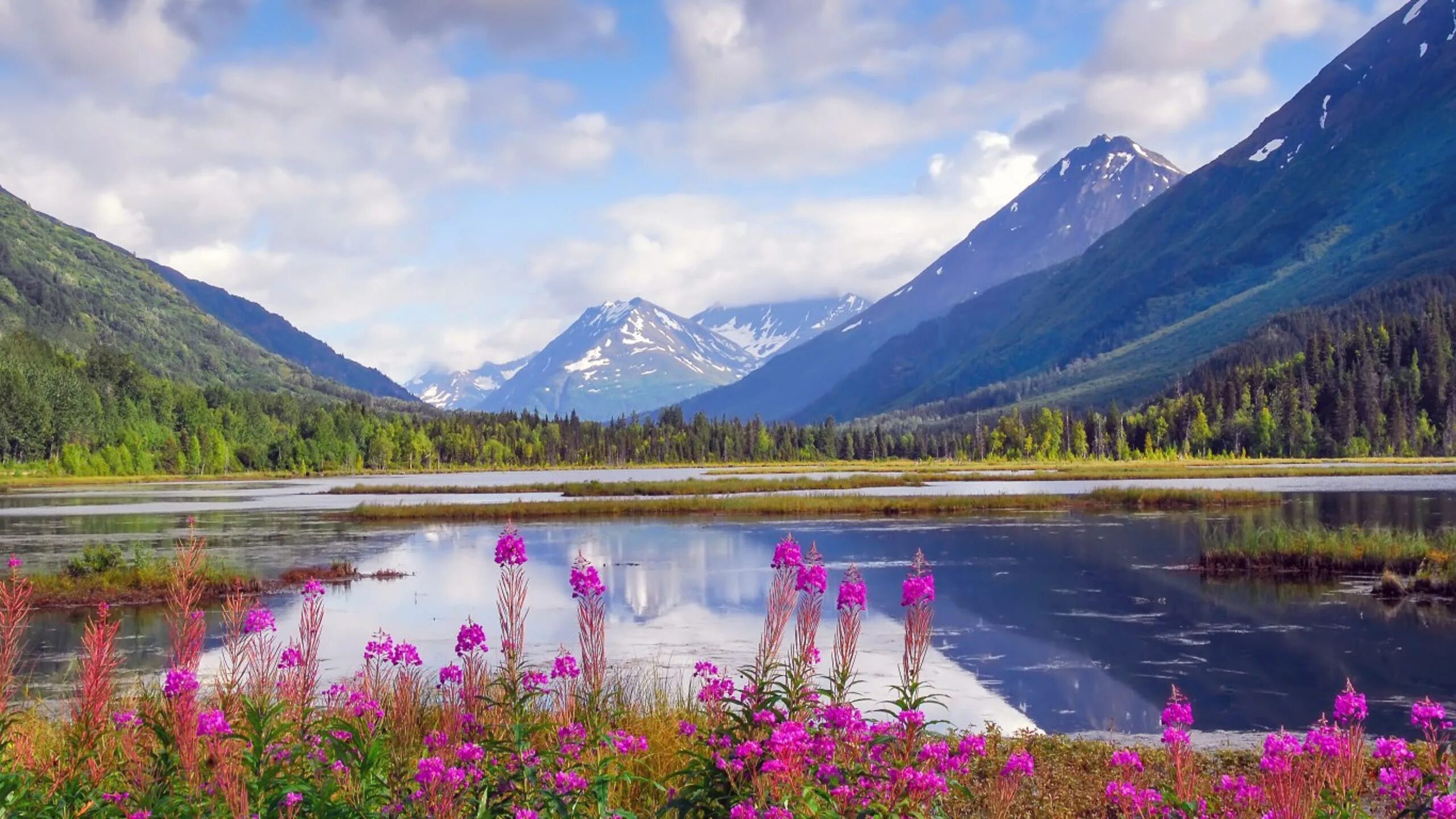 Аляска 4 буквы. Кенай-Фьордс Аляска. Река Кенай Аляска. Национальный парк Кенай-Фьордс. Штат Аляска природа.