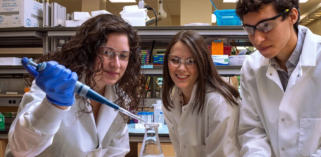 Медикал инжиниринг. Биомедицинский инженер. Инженер биомедик. Биомедицинская инжиниринг. Biomedical engineering.