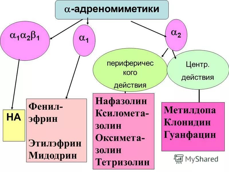 Альфа 1 адреномиметики. В2 адреномиметики препараты. А1 адреномиметики препараты. Альфа 1 и 2 адреномиметики препараты. Селективные Альфа 1 адреномиметики.