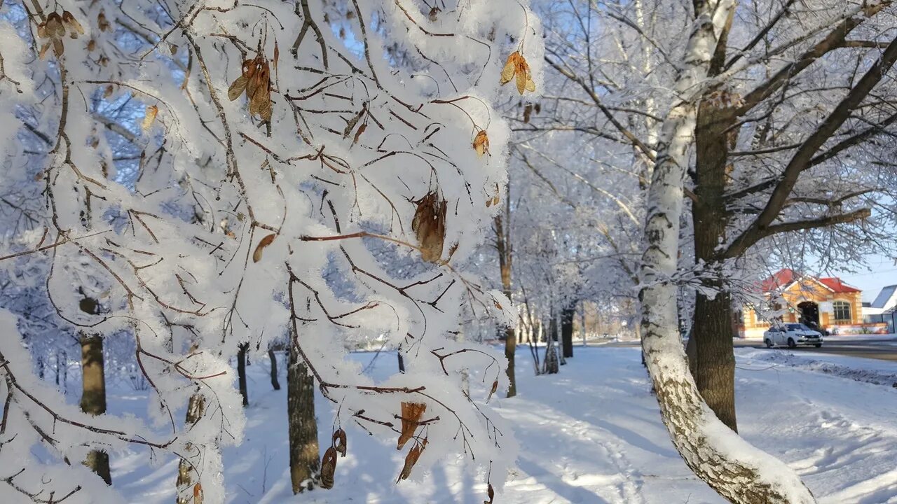 Саракташ зима. Зимний Саракташ. Картинки зимы в парке в Саракташе.