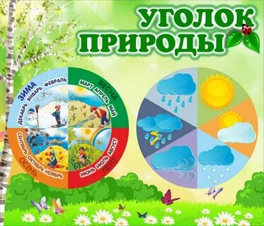 Картинки для оформления уголка природы