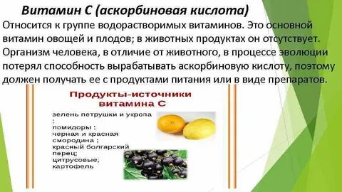 К витаминам относят