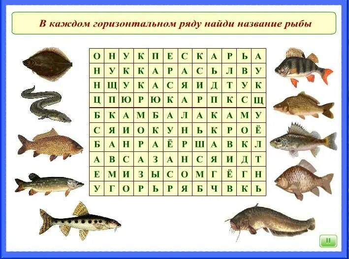 Филворд рыбы. Кроссворд рыбы для детей. Кроссворд про рыб. Филворд рыбы для детей.