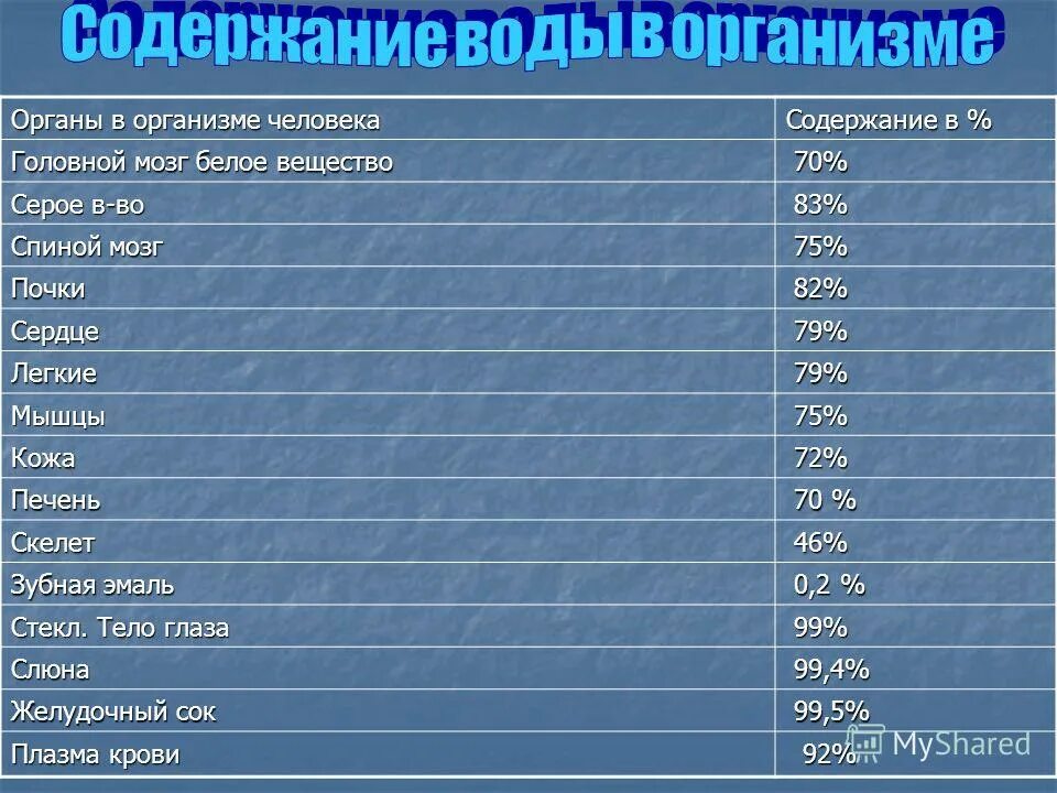 Содержание воды в органах человека. Содержание прав человека и гражданина. Содержание человека. Организационные ожидания. Конституционные права человека в области правосудия.