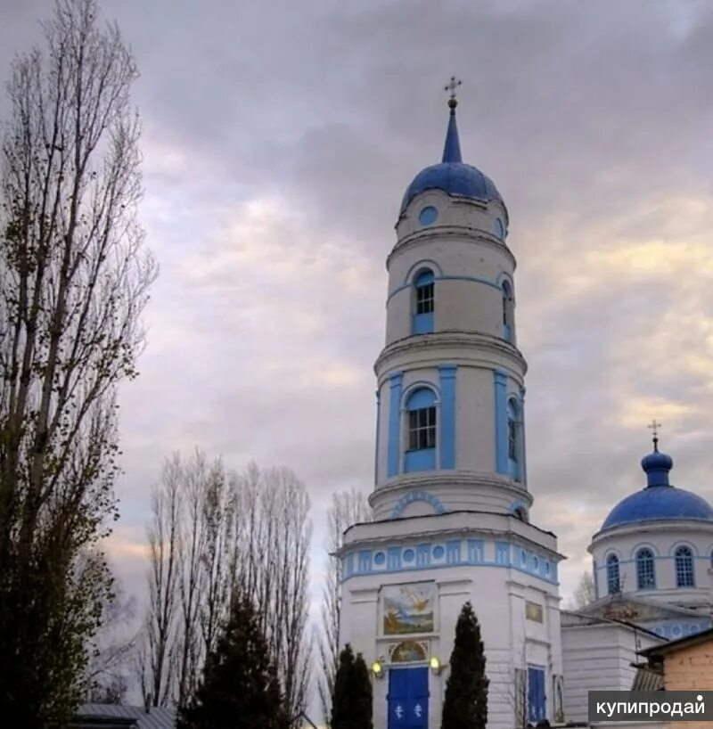 Добровский район липецкой области село. Церковь Панино Липецкая область. Село Панино Липецкая область Добровский район. Храм в Панино Липецкая область Добровский район. Храм Илии пророка с. Панино.