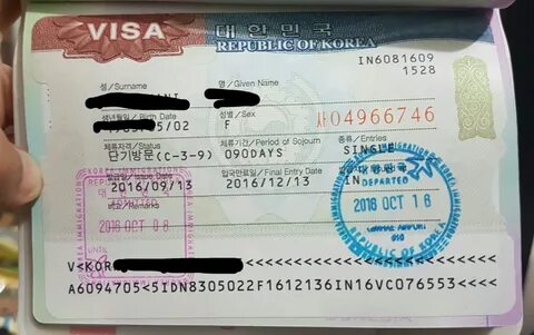 В северную корею нужна виза