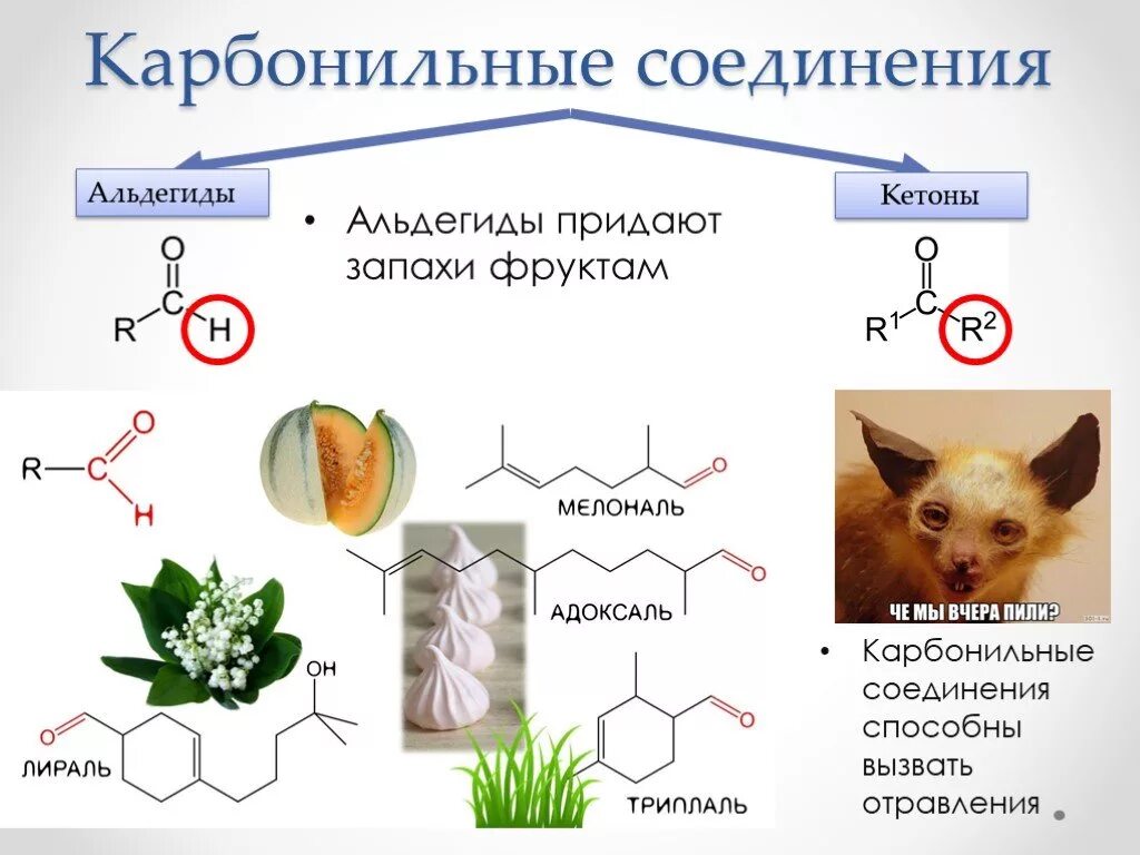 Применение карбонильных соединений схема. Карбонильные соединения. Применение карбонильных соединений. Карбольньные соединения.