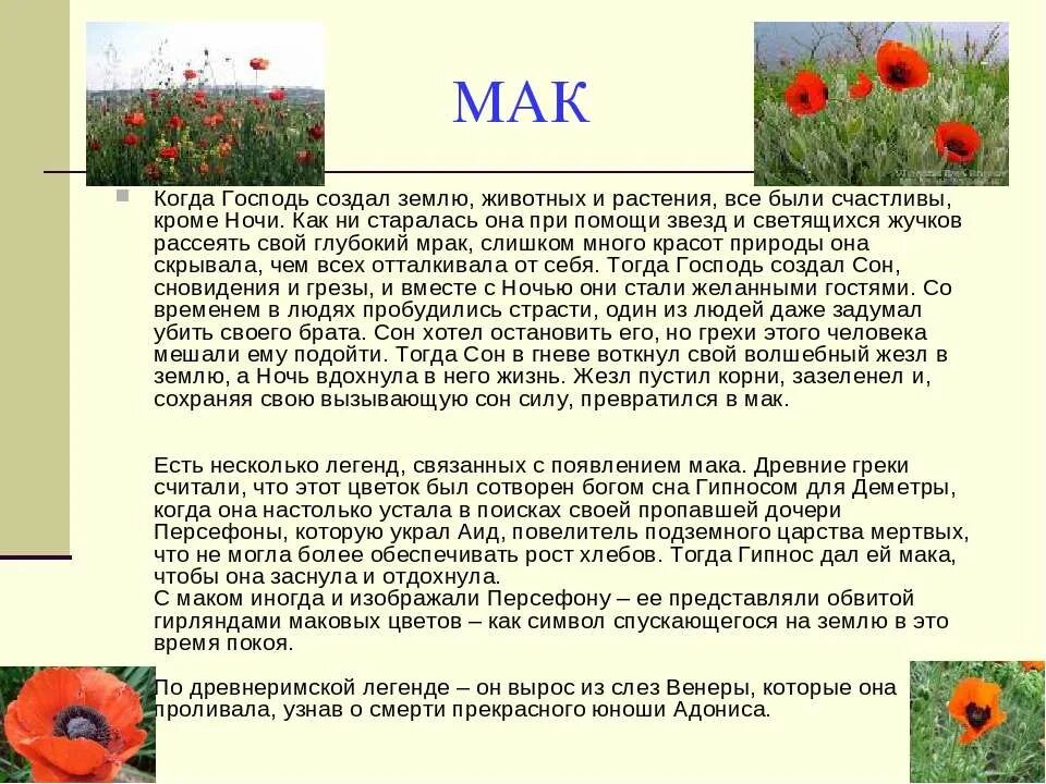 Мифы о растениях кратко. Растения в сказках и легендах. Цветы и растения в мифах и легендах. Книга цветы в легендах и преданиях. Легенды о цветах.