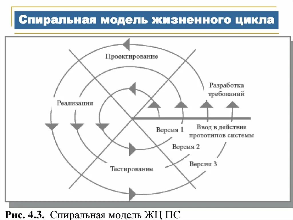 Жизненный цикл создания систем. Спиральная модель жизненного цикла информационной системы. Этапы спиральной модели жизненного цикла. Спиралевидная модель жизненного цикла. Спиральная модель ЖЦ.