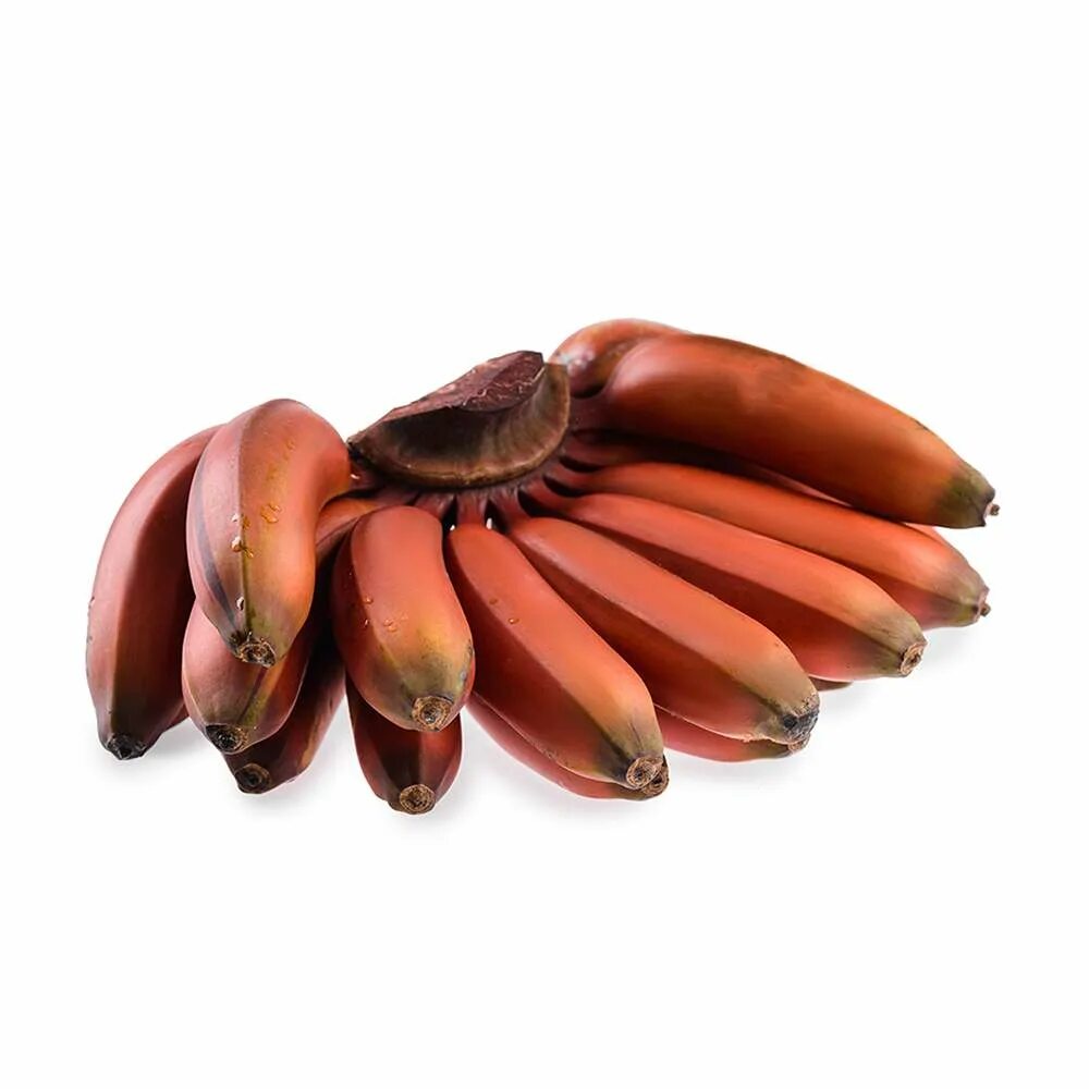 Бананы красные. Красные бананы фото. Красные Эквадорские бананы. Бан бан красный. Красные бананы купить
