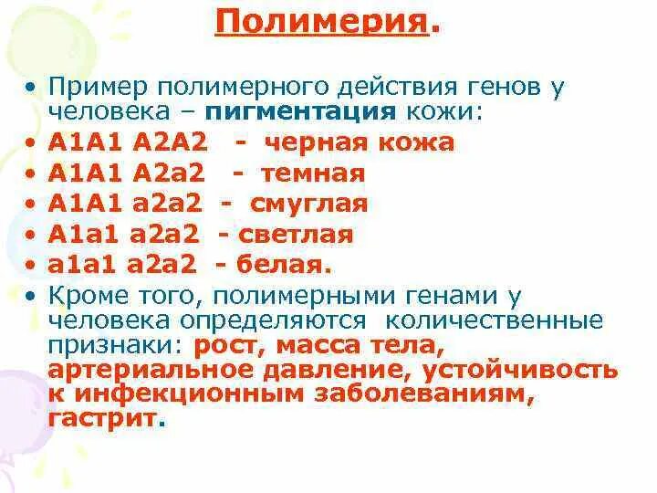 Примеры генов человека. Полимерное действие генов примеры. Полимерное взаимодействие генов у человека. Полимерия в генетике. Кумулятивная Полимерия примеры.