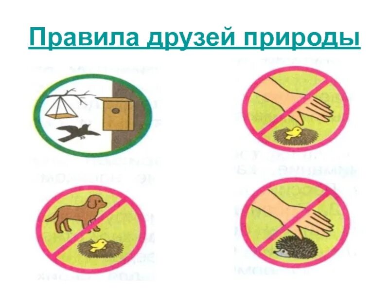 Окружающий мир плешаков 3 класс охрана животных. Знаки друзей природы. знаки охраны животных 3 класс. знаки правил друзей природы. правила друзей природы 3 класс.