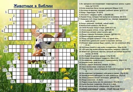 Библейские кроссворды 7