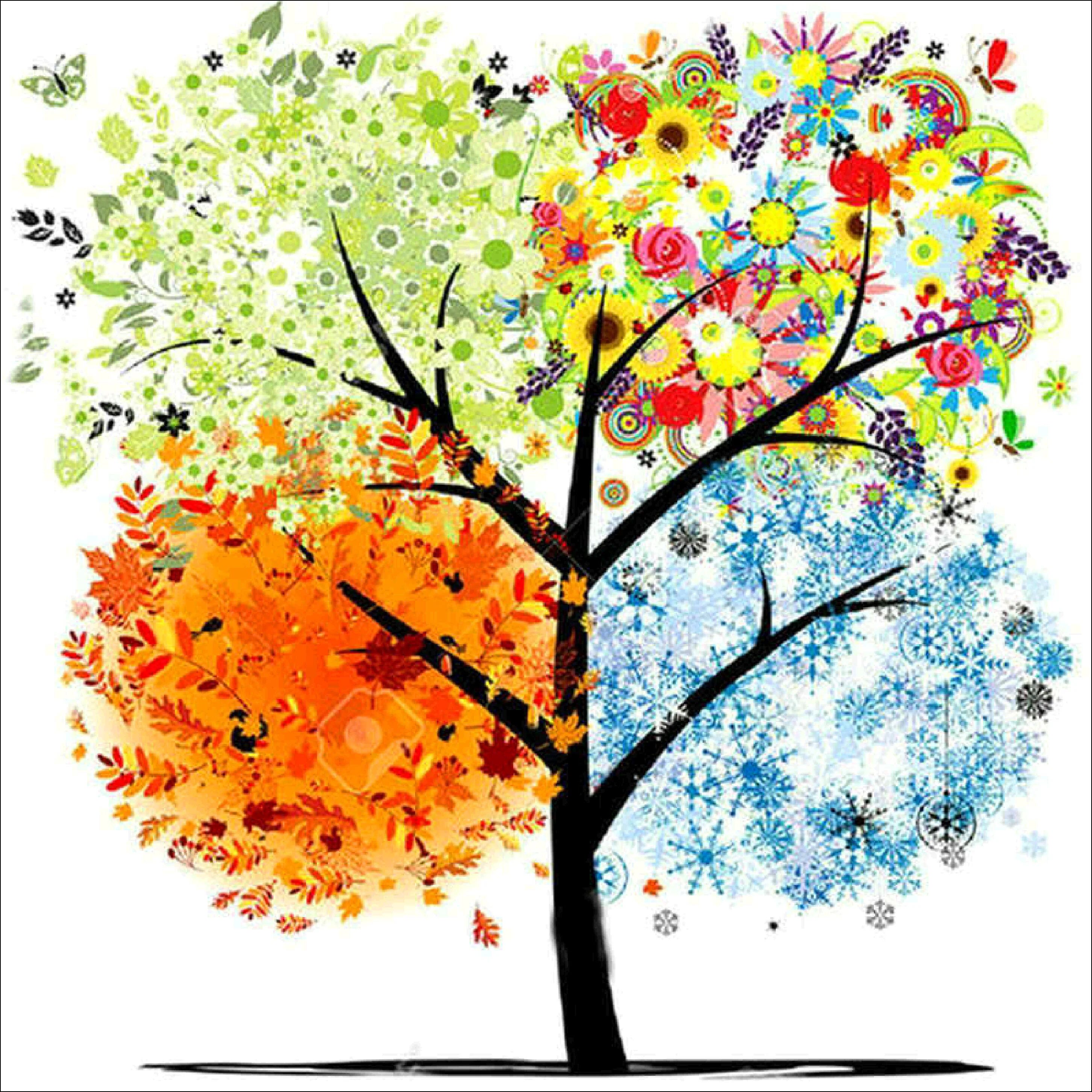 Seasons trees. Seasons trees