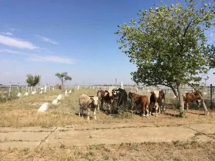 Знаменск 6 астраханская область