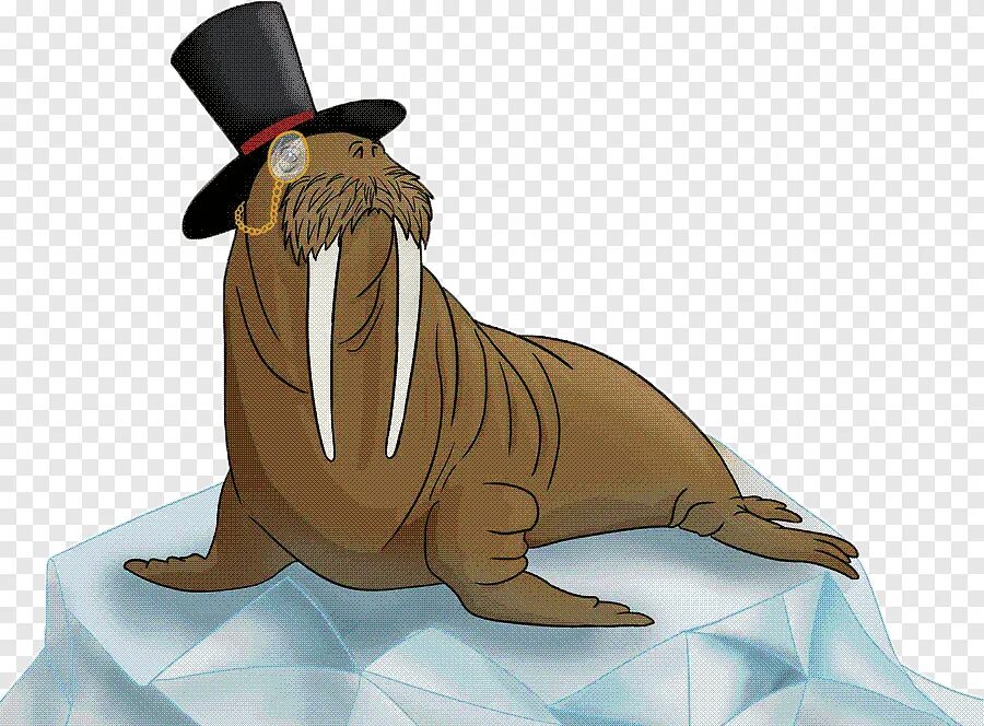 Тюлень в очках. Морж в очках. Мужчина похожий на моржа. Плюшевый морж. Морж на льду.