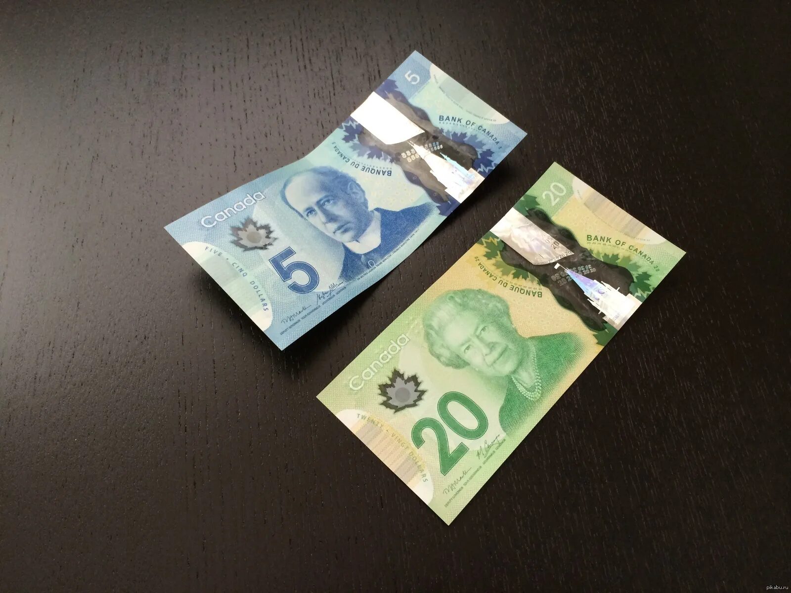 Канадские купюры из пластика. Пластиковые банкноты Канады. Канадский доллар из пластика. Пластиковые деньги в Канаде. Канадский доллар в тенге